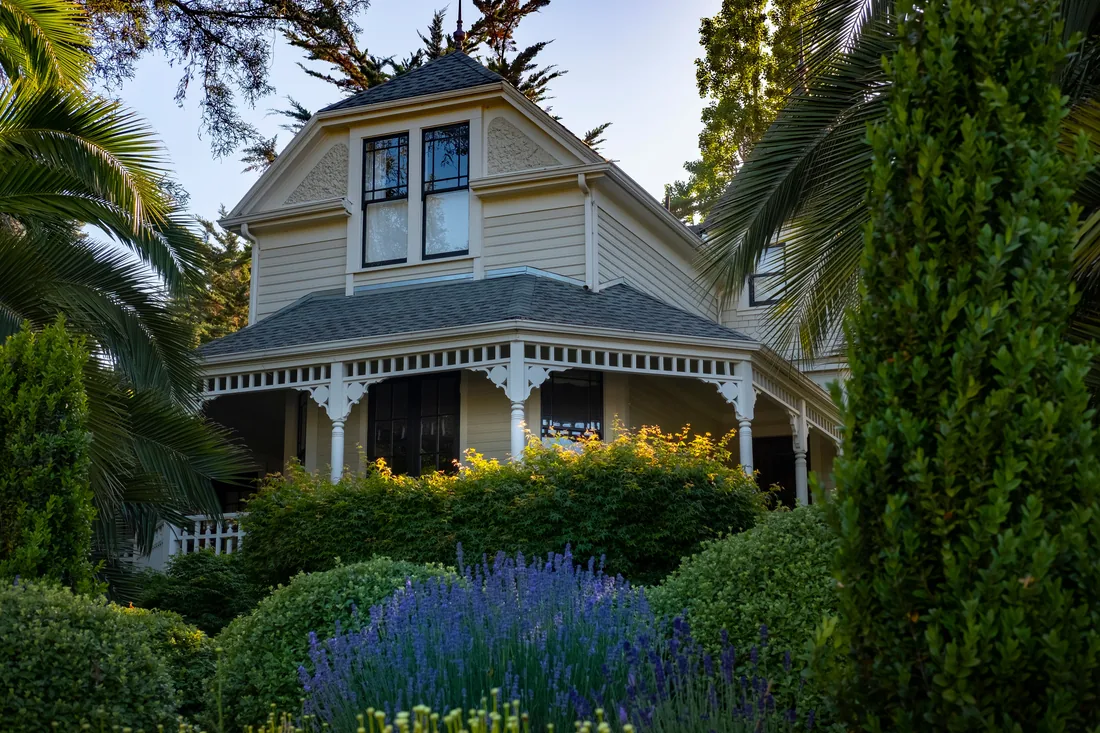 A house with a mature front garden and planted borders