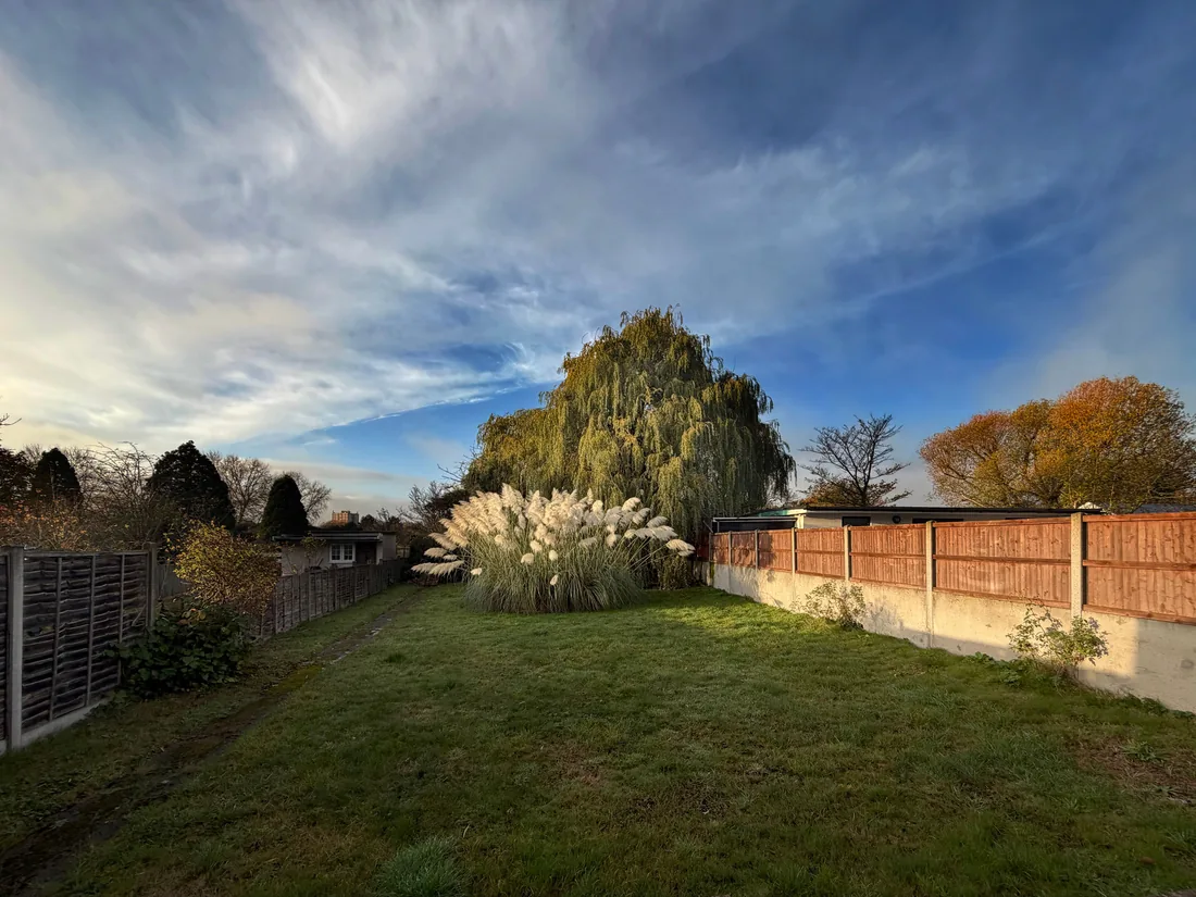A bare back lawn with a timber fence before the work