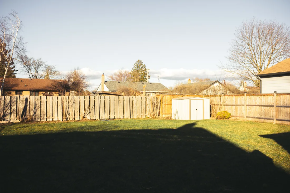 A plain back garden with a shed and rough grass before the work
