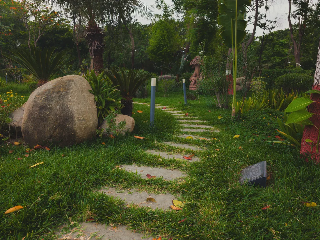 A stone path winding through deep planting