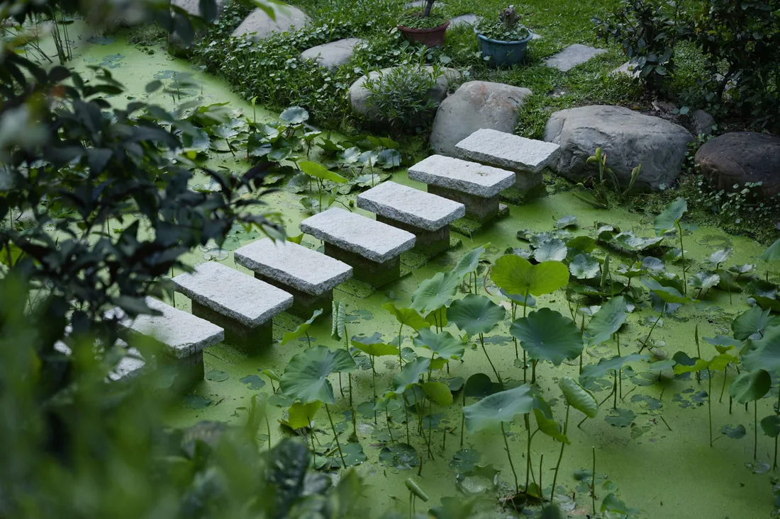 Stone steps crossing water in a mature garden