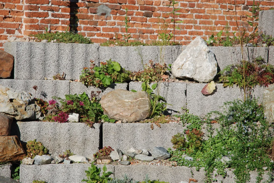 The same slope rebuilt as a stepped stone terrace