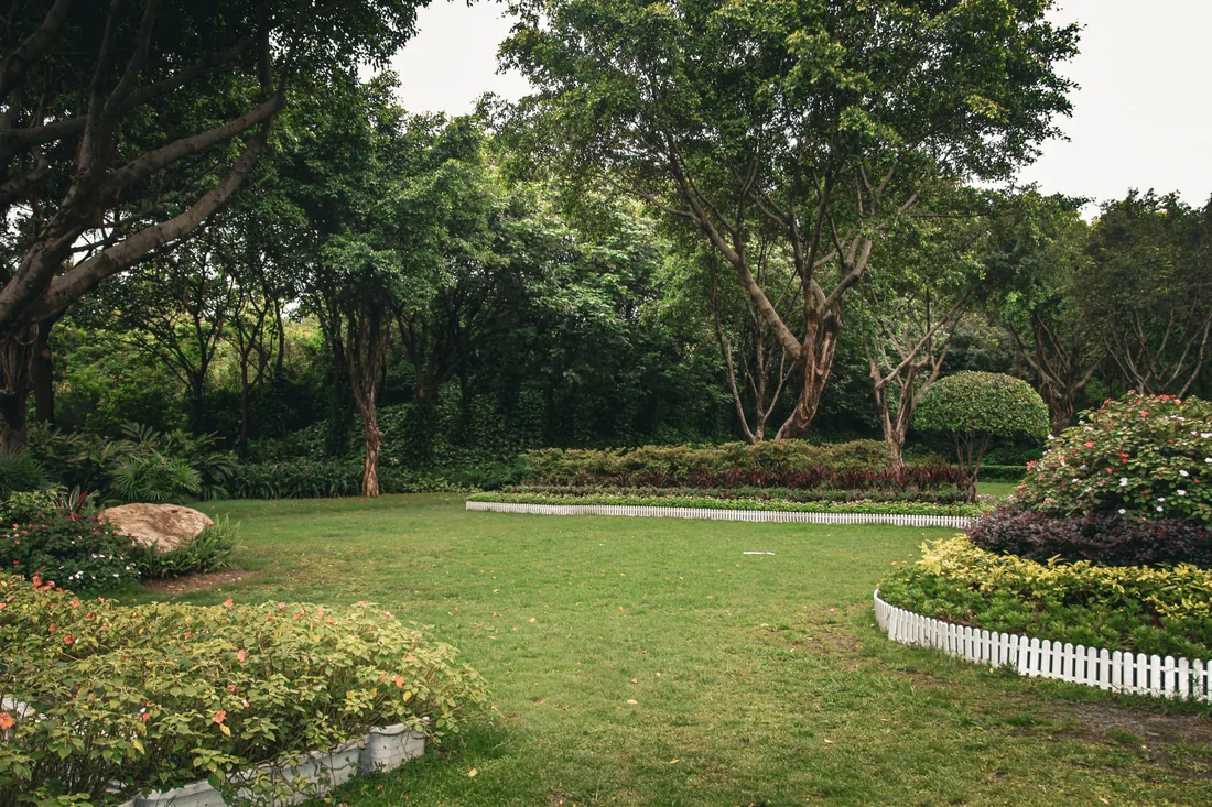 A garden of shaped beds, trees and mown lawn