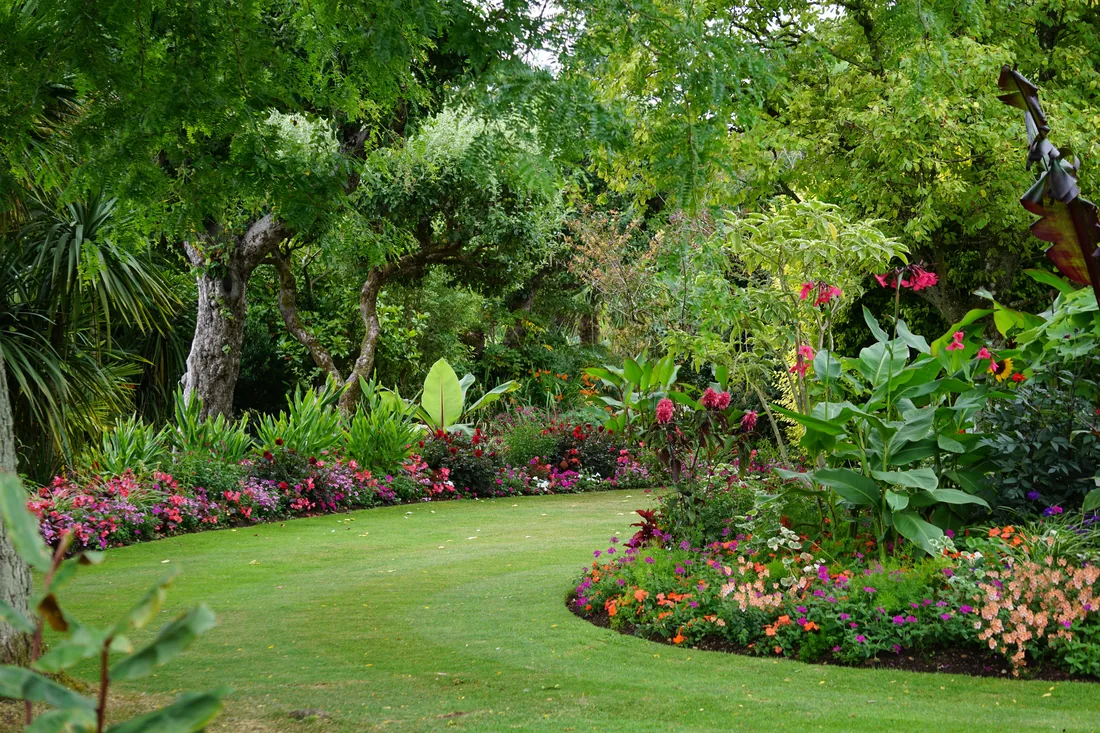A path running through flowering borders