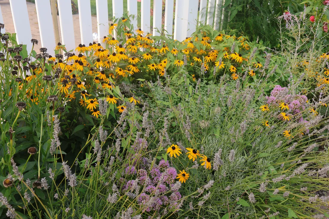 The same ground planted with deep perennial borders